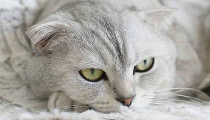 反差大赛的深层次魅力探秘:真正的精彩,藏在你意想不到的地方