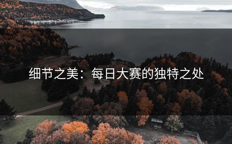 细节之美：每日大赛的独特之处