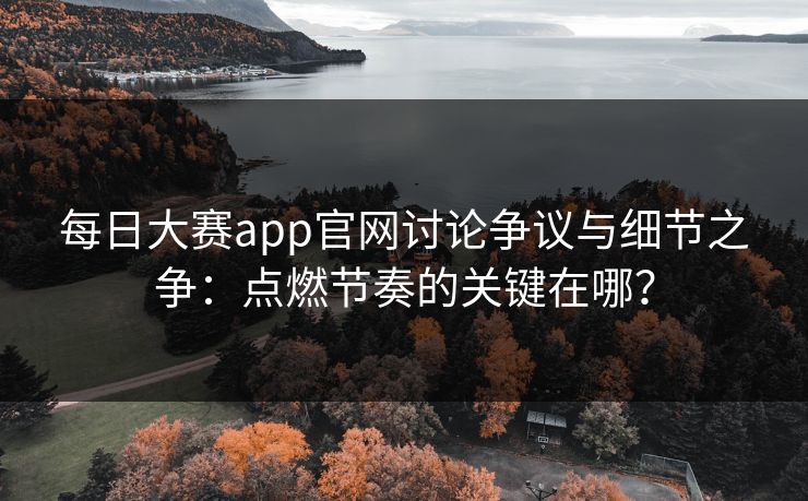 每日大赛app官网讨论争议与细节之争：点燃节奏的关键在哪？